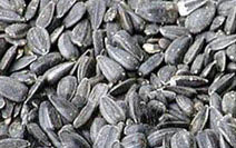 > </div>
<div class=